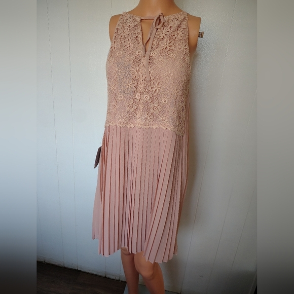 GREYLIN Elegant Lace Pleated Dress in Blush Size L - Picture 1 of 12